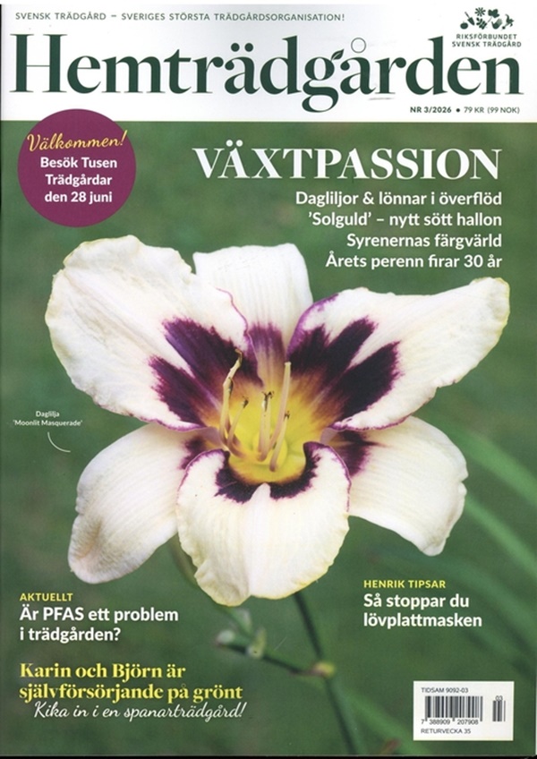 Omslag 2026-06-12