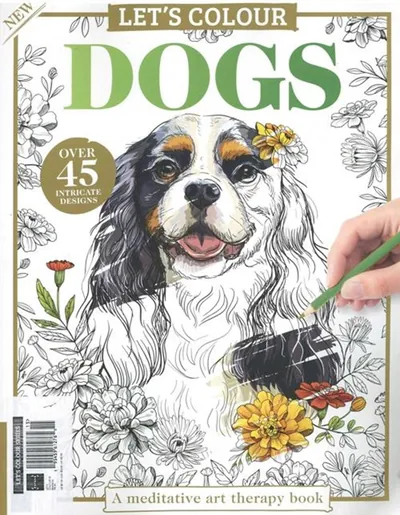 Lets Colour (UK)