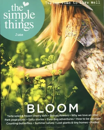 Simple Things (UK)